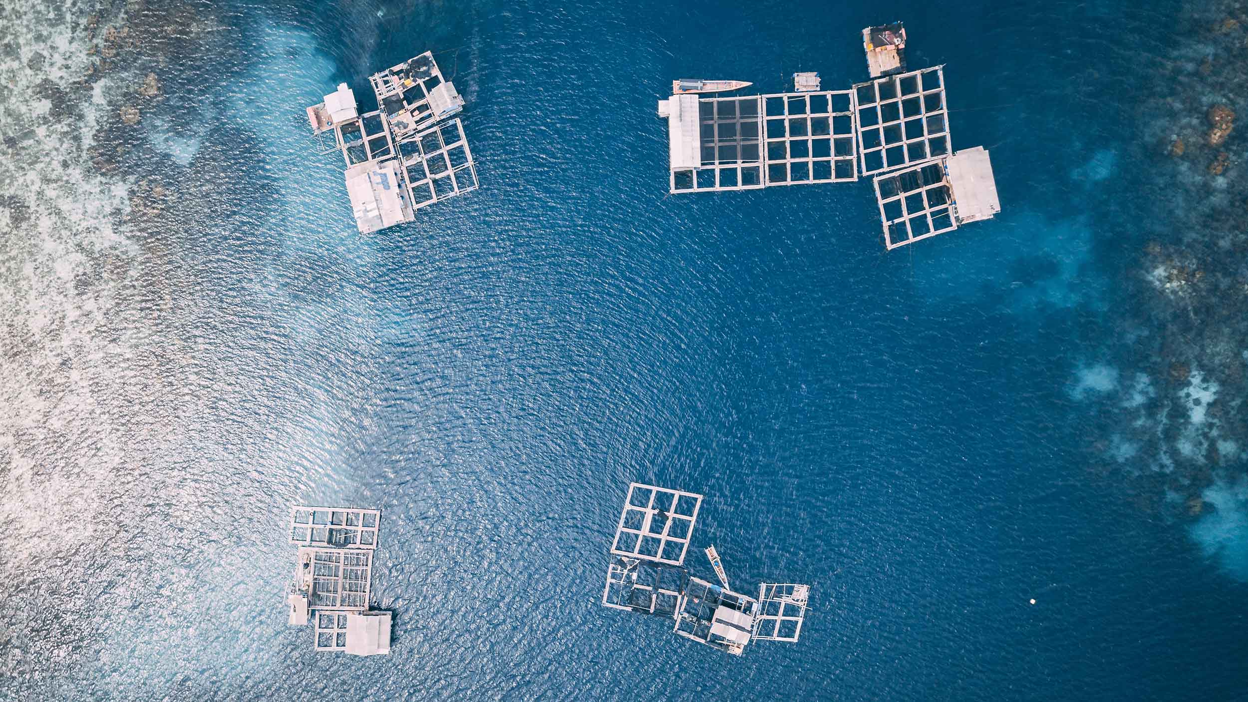 PureFlow Machinery | Industry Aquaculture